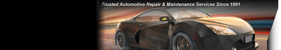 shop banner
